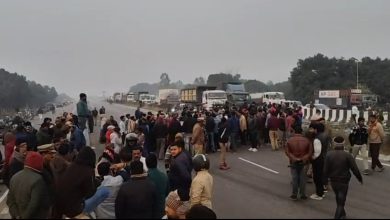आउटर रिंग रोड पर दर्दनाक हादसा: युवक व दो बछड़ों की मौत, कार सवार घायल